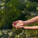 Midi Claw Clip - Shell