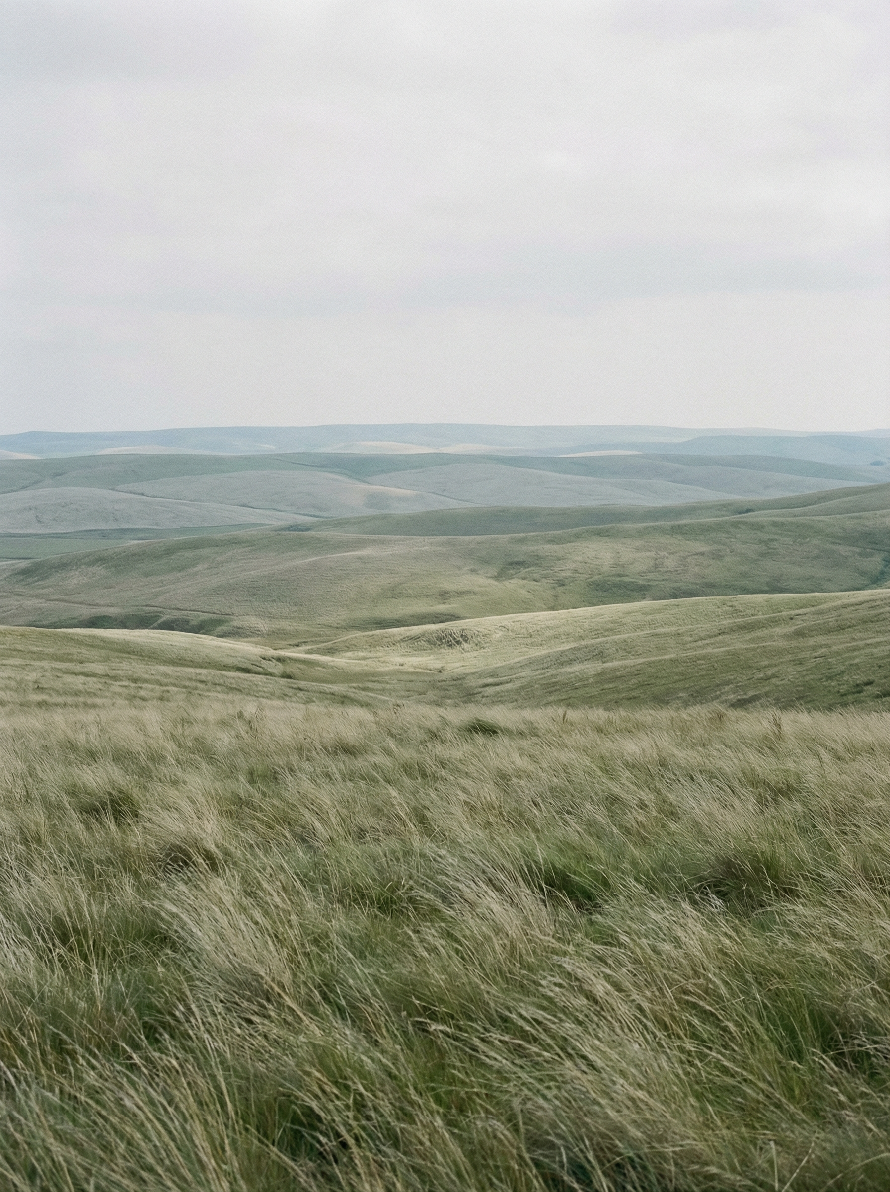 Green grassy field with a flat horizon under a light blue sky